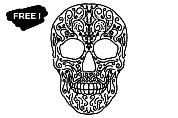 Skull Mandala Illustration Review